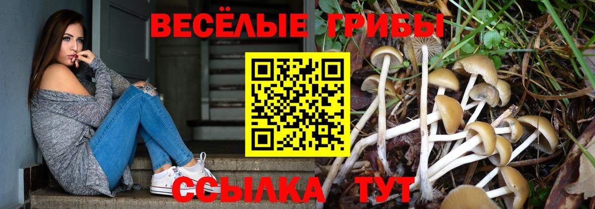 Псилоцибиновые грибы прущие грибы  Галлюциногенные грибы прущие грибы  Шарыпово  Вход с VPN 
