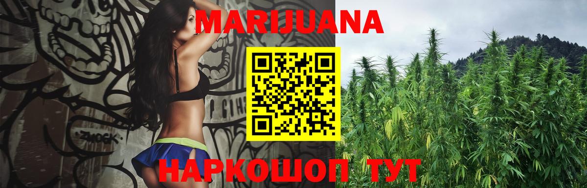 Канабис сатива Шарыпово